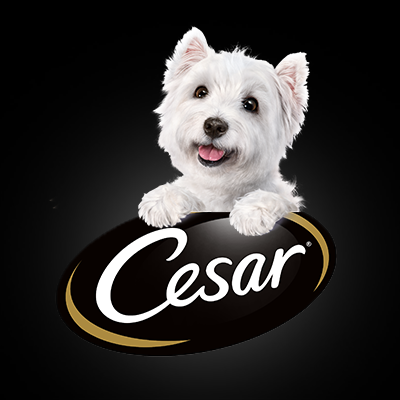 Cesar logo