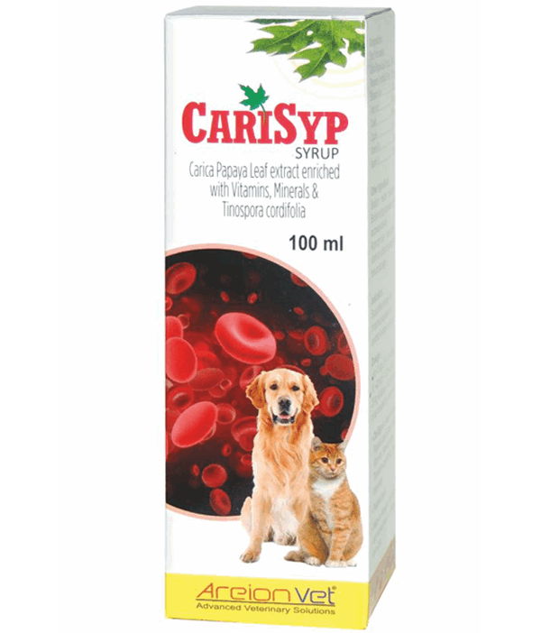 Areionvet Carisyp Syrup Supplement For Dogs & Cats - Cadotails