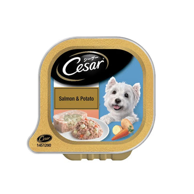 Cesar Salmon & Potato Tray 100g Dog Wet Food - Cadotails