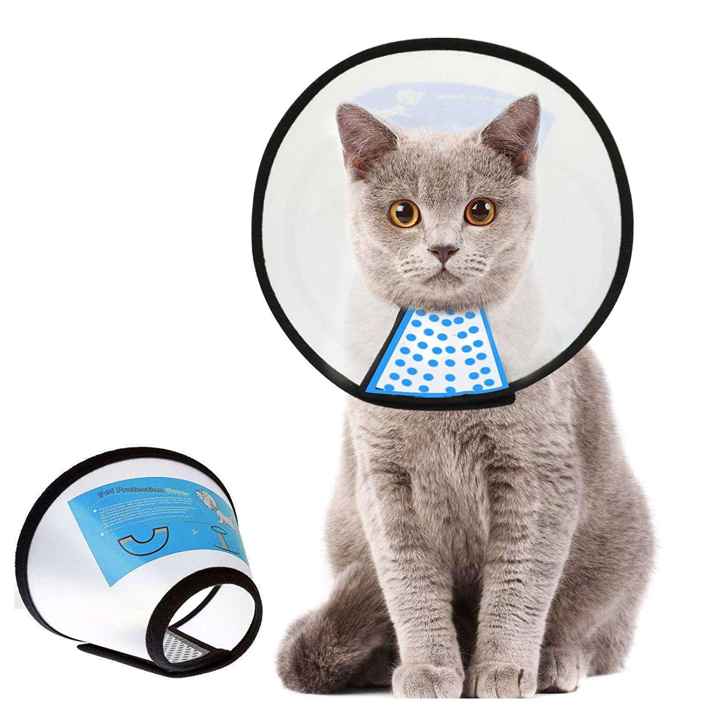 Companion Needs Zp Cat E Collar - Cadotails