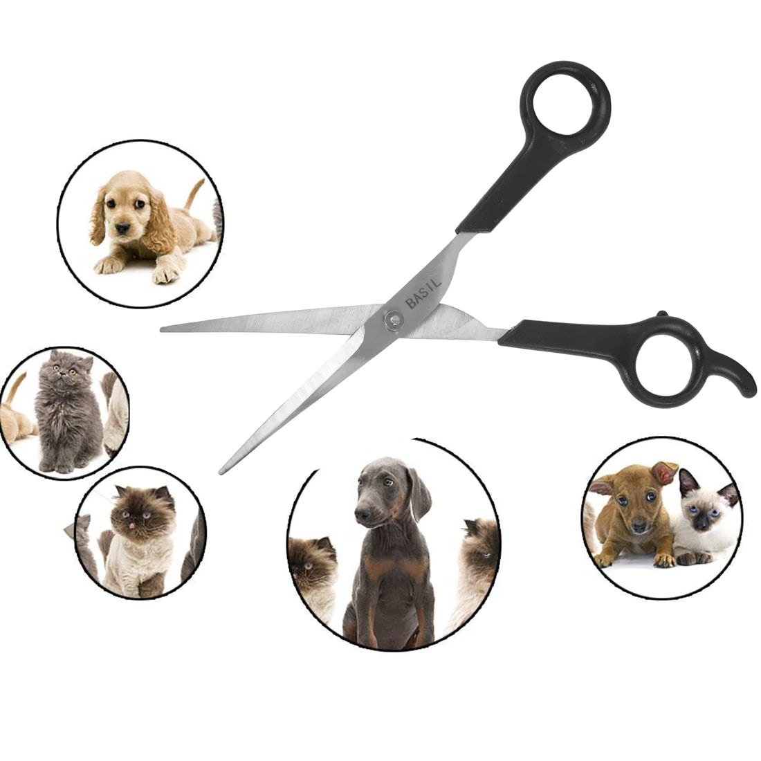 Basil Curved Bend Hair Scissor For Pets grooming - Cadotails