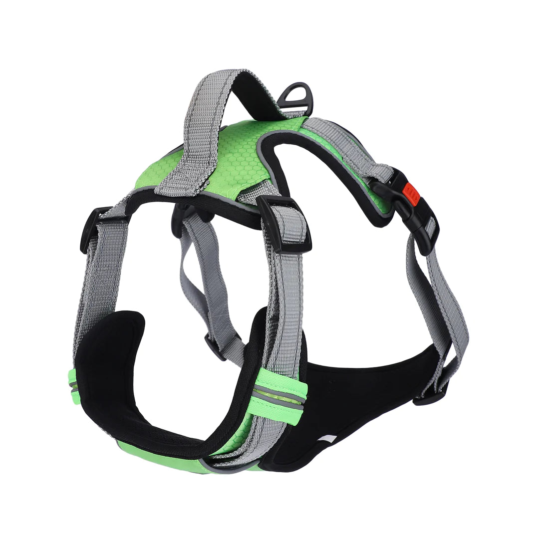 Basil Dog Full Body Padded Harness With Handle - Green - Cadotails