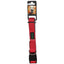Basil Padded Adjustable Collar For Dogs & Puppies (Red) - Cadotails