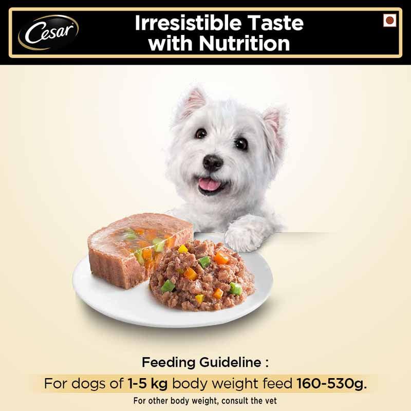 Cesar Lamb & Vegetables Adult Dog Wet Food - Cadotails