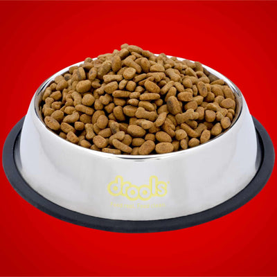 Drools Stainless Steel Feeding Bowl For Cats - Cadotails