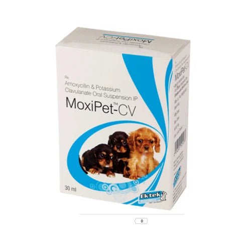 Ektek Pharma Moxipet-Cv Oral Suspension For Pets - Cadotails