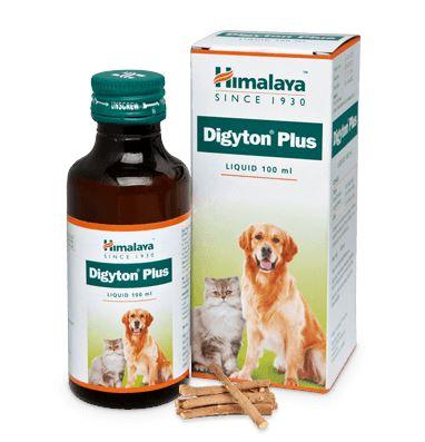 Himalaya Digyton Plus Liquid For Dogs & Cats - Cadotails