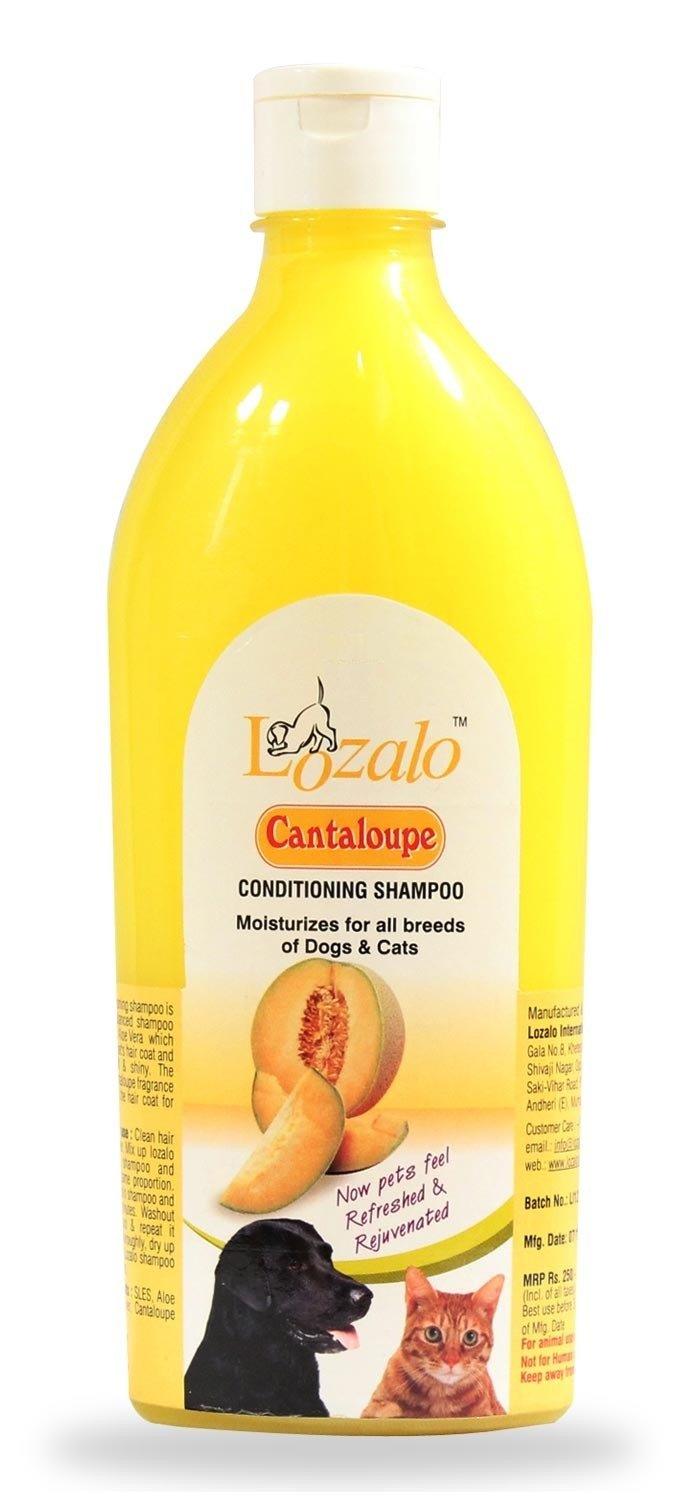 Lozalo Cantaloupe Conditioning Fruit Shampoo For Dogs & Cats - Cadotails