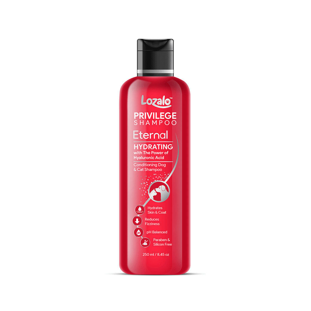 Lozalo Privilege Conditioning Shampoo Eternal For Dogs & Cats - Cadotails