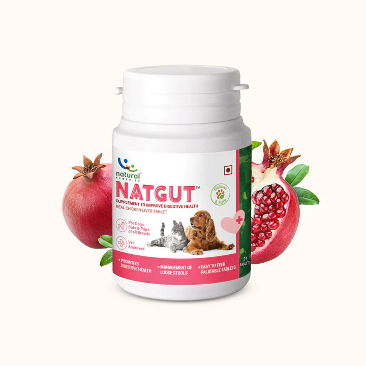 Natural Remedies Natgut Digestive Tablets For Dogs & Cats - Cadotails