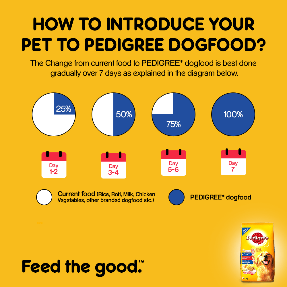 Pedigree Adult Chicken & Vegetables Dog Dry Food - Cadotails