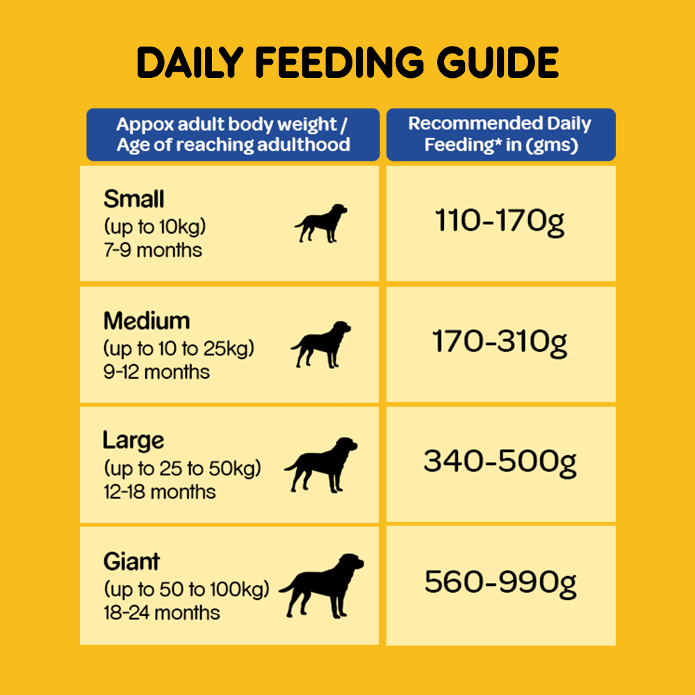 Pedigree Adult Chicken & Vegetables Dog Dry Food - Cadotails