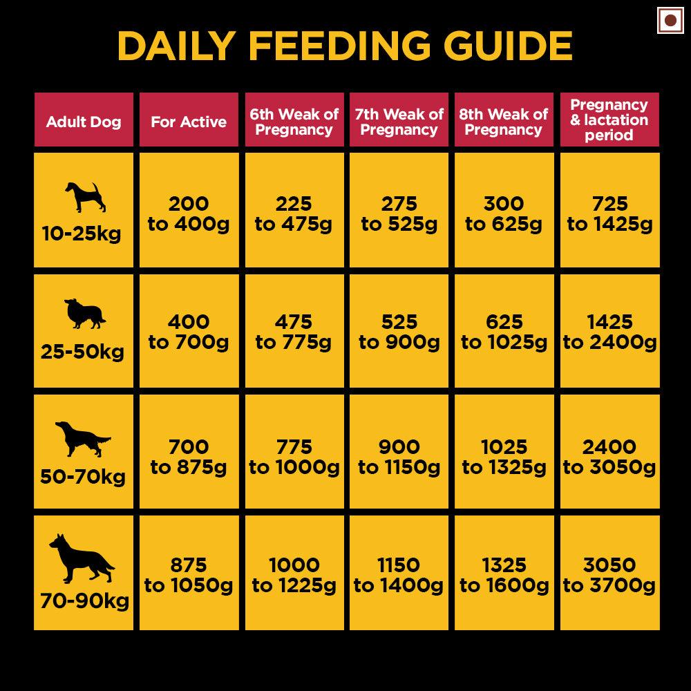 Pedigree Pro Expert Nutrition Adult Large Breed Dog Dry Food - Cadotails