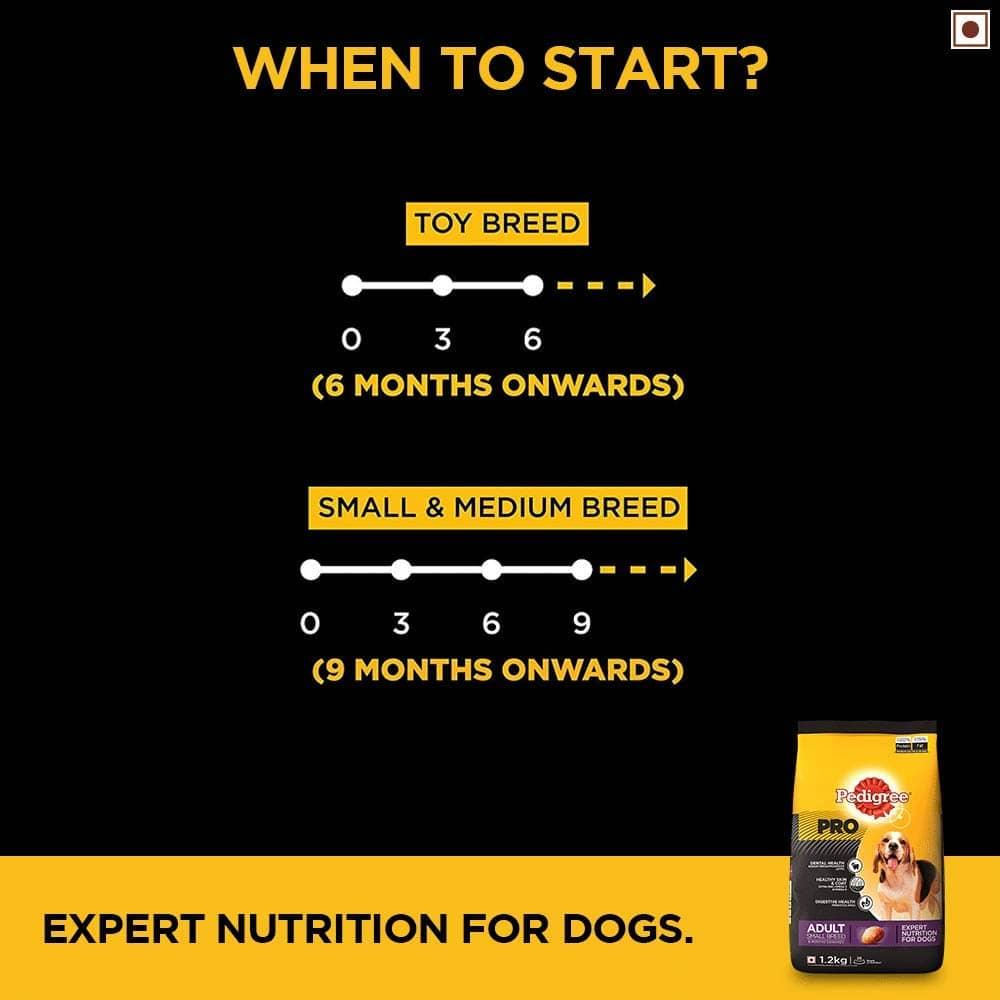 Pedigree Pro Expert Nutrition Adult Small Breed Dogs (9 Months Onwards) Dog Dry Food - Cadotails