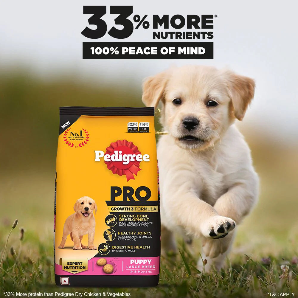 Pedigree Pro Expert Nutrition For Large Breed Puppy (3-18 Months) Dog Dry Food - Cadotails