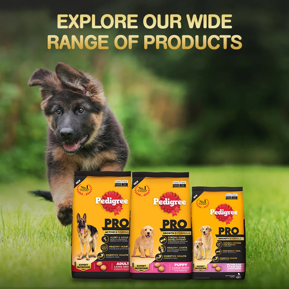 Pedigree PRO Expert Nutrition Lactating/Pregnant Mother & Puppy Starter(3 to 12 Weeks) Large Breed Dog Dry Food - Cadotails