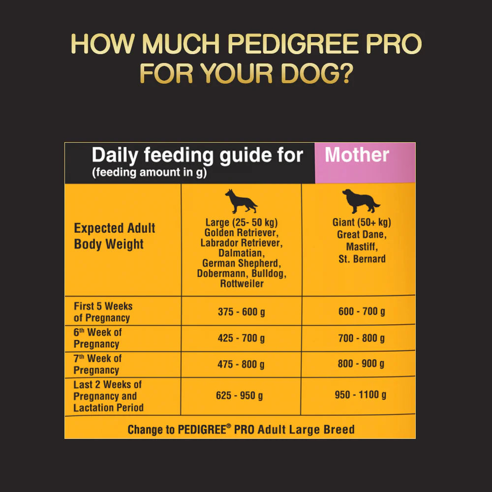 Pedigree PRO Expert Nutrition Lactating/Pregnant Mother & Puppy Starter(3 to 12 Weeks) Large Breed Dog Dry Food - Cadotails