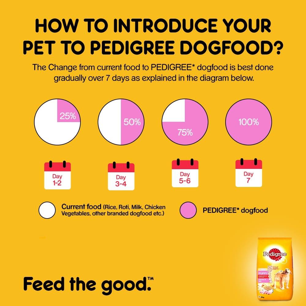 Pedigree Puppy Chicken & Milk Dog Dry Food - Cadotails