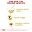 Royal Canin Cocker Adult Dog Dry Food - Cadotails