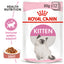 Royal Canin Kitten Gravy Cat Wet Food - Cadotails