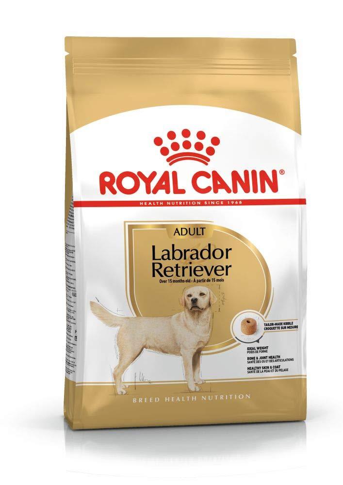 Royal Canin Labrador Adult Dog Dry Food - Cadotails