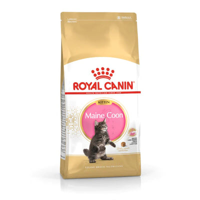 Royal Canin Maine Coon Kitten Cat Dry Food - Cadotails