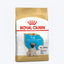 Royal Canin Pug Puppy Dog Dry Food - Cadotails