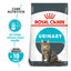 Royal Canin Urinary Care Adult Cat Dry Food - Cadotails