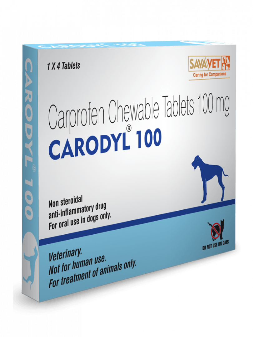 Savavet Carodyl Carprofen Chewable Tablets For Dogs - Cadotails