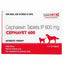 Savavet Cephavet Antibiotic Therapy 10 Tablets For Dogs & Cats - Cadotails
