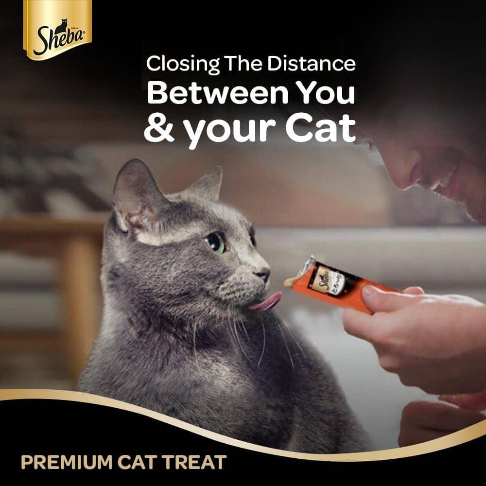 Sheba Chicken & Chicken Whitefish Sasami Selection Melty Premium Cat Treats - Cadotails