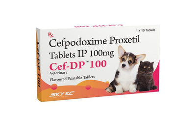 Skyec Cef-Dp Cefpodoxime Antibiotic 10 Tablets For Dogs & Cats - Cadotails