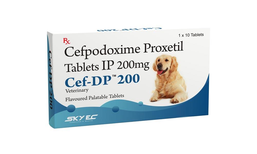 Skyec Cef-Dp Cefpodoxime Antibiotic 10 Tablets For Dogs & Cats - Cadotails