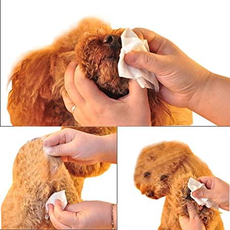 Smarty Pet Removes Dirt & Leave Coat Shiny & Clean Fresh Apple Scent Wipes - Cadotails