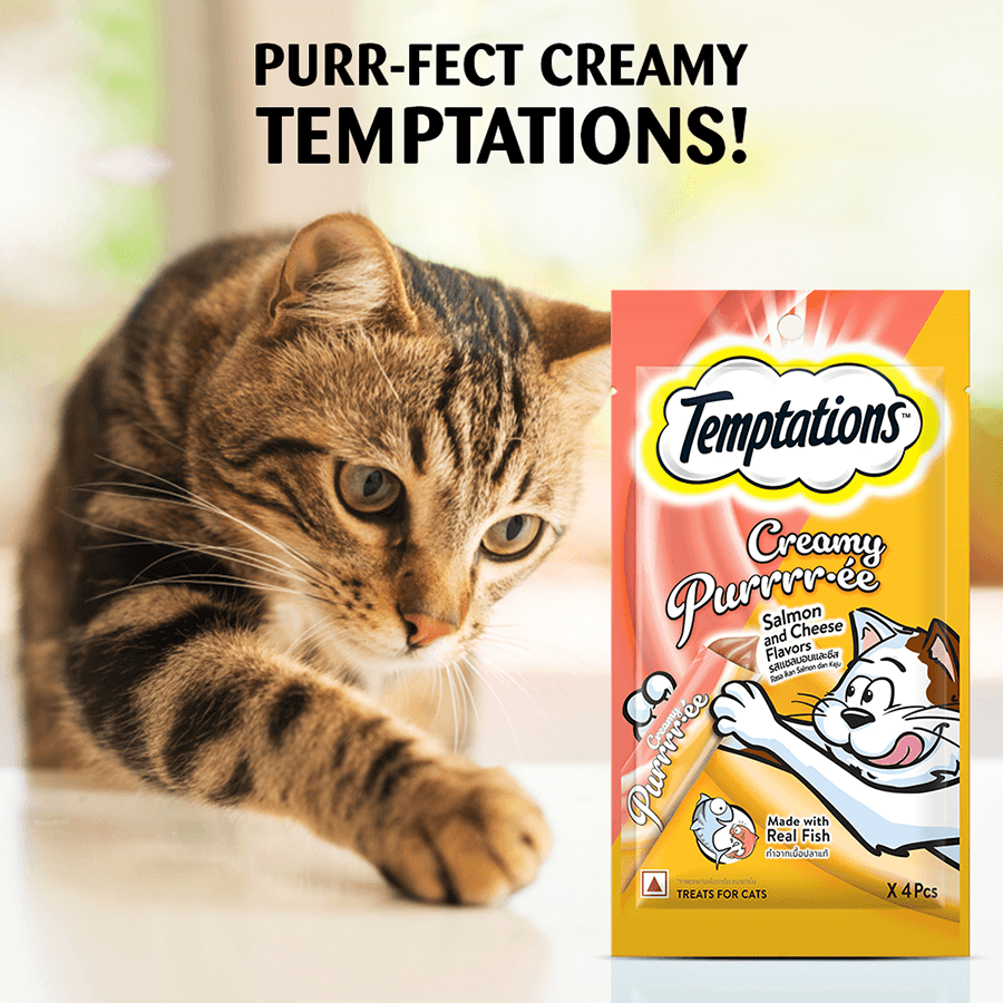 Temptations Creamy Treat, Salmon & Cheese Flavour - Cadotails