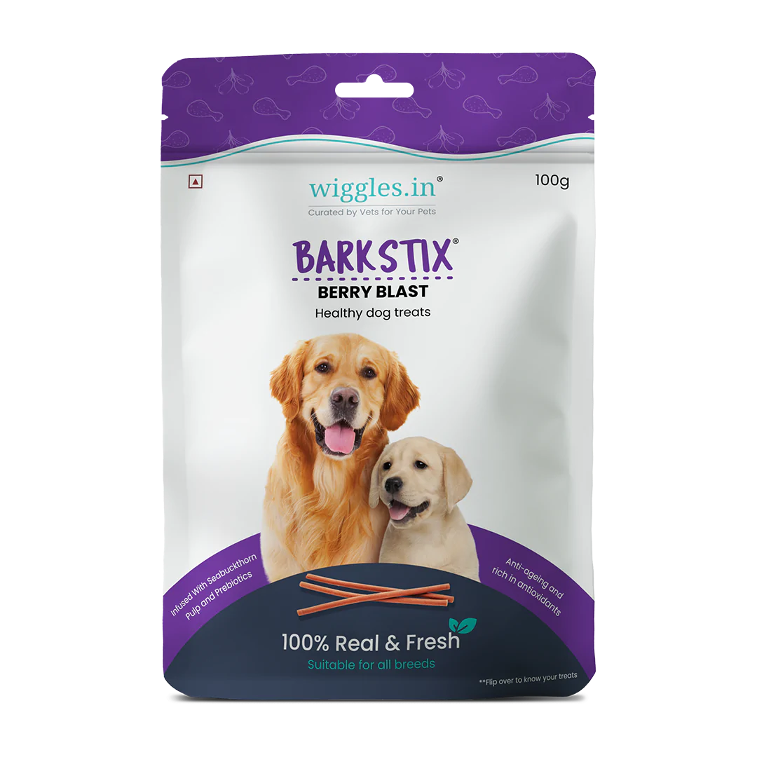 Wiggles Barkstix Berry Blast 100G Dog Treat - Cadotails